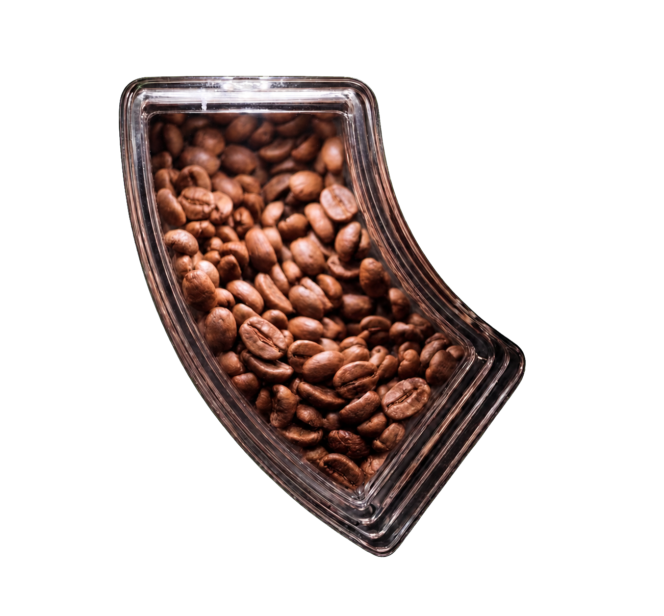 Medium roast coffee beans